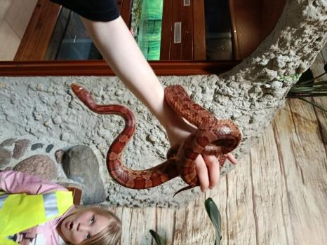 WhatsApp Image 2025-06-11 at 18.20.41 (1).jpeg