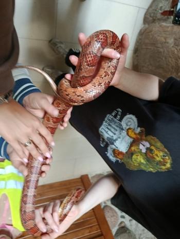 WhatsApp Image 2025-06-11 at 18.20.41 (2).jpeg