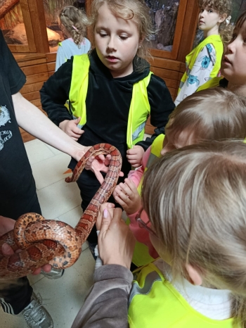 WhatsApp Image 2025-06-11 at 18.20.41 (3).jpeg