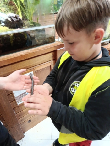 WhatsApp Image 2025-06-11 at 18.20.41.jpeg