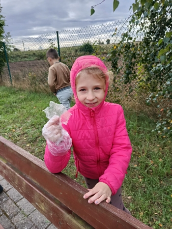 WhatsApp Image 2025-09-27 at 16.57.24.jpeg