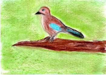 WhatsApp Image 2025-12-11 at 18.56.34.jpeg