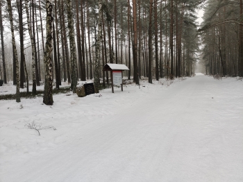 img_20260211_103139 (1)