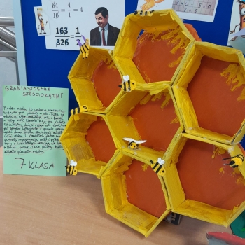 WhatsApp Image 2026-03-20 at 16.24.32 (6).jpeg