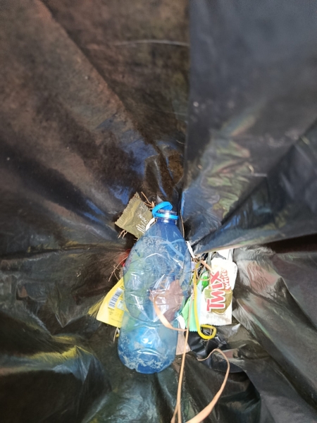 AKCJA SPRZĄTANIE ŚWIATA