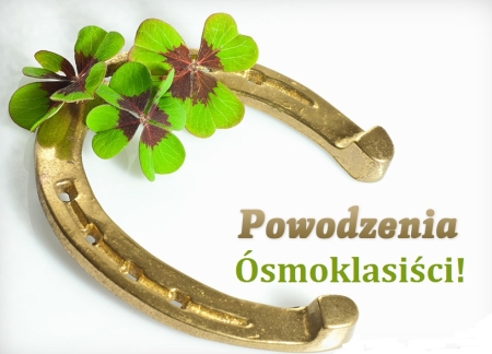 POWODZENIA NA EGZAMINIE ÓSMOKLASISTY!